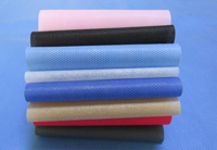 永丰涤纶（PET）无纺布是什么